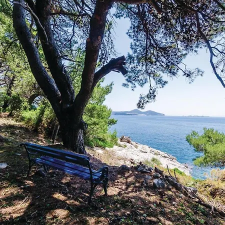 Stunning In Zaton Veliki With 3 Bedrooms, Wifi And Jacuzzi * Zaton (Dubrovnik-Neretva)